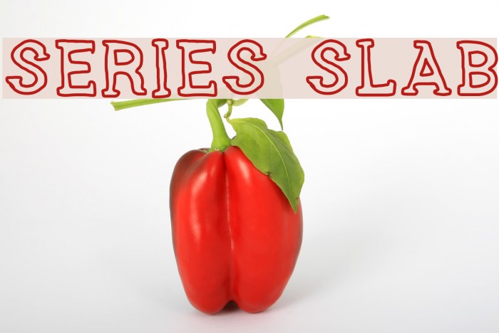 SERIES SLAB Font examples