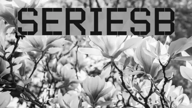 SERIESB Font examples