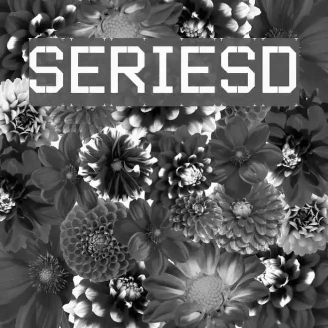 SERIESD Font examples