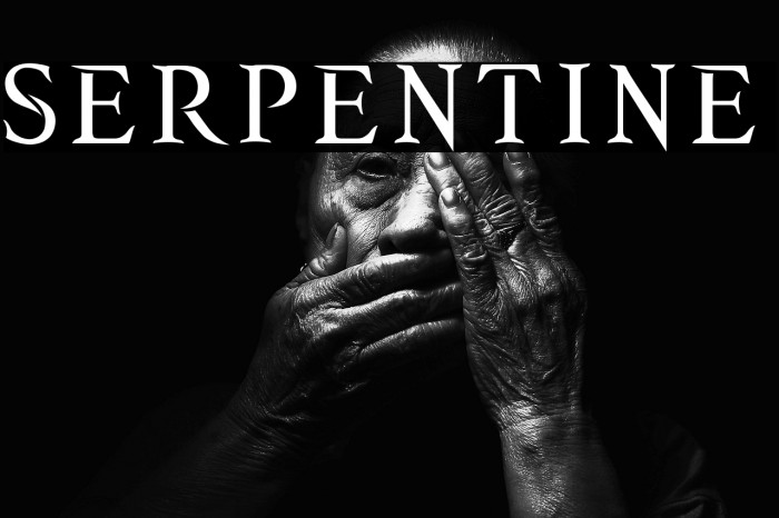 SERPENTINE Example 1