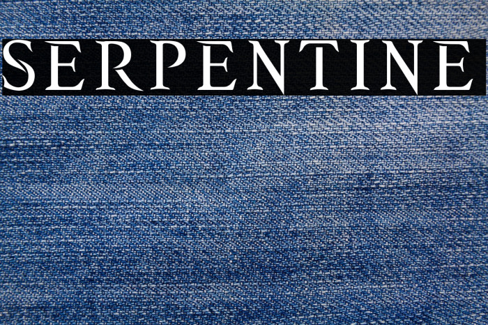 SERPENTINE Example 2