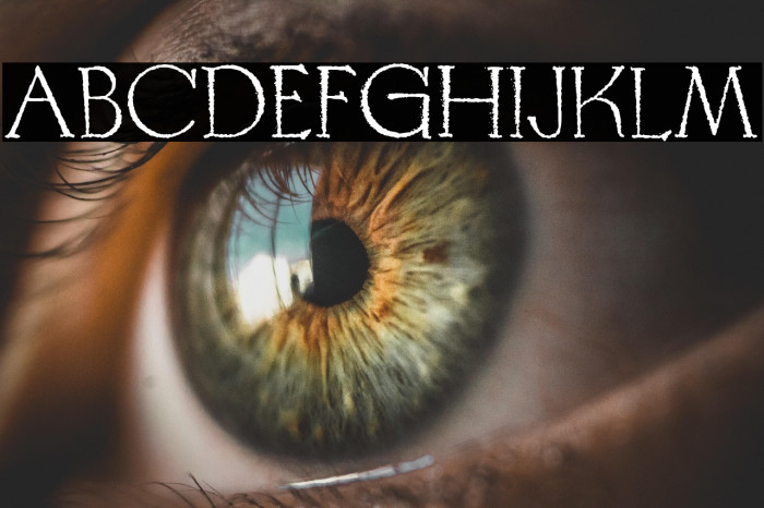 SEVEN SEAS Regular Example 2