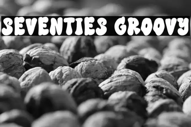 SEVENTIES GROOVY Font examples