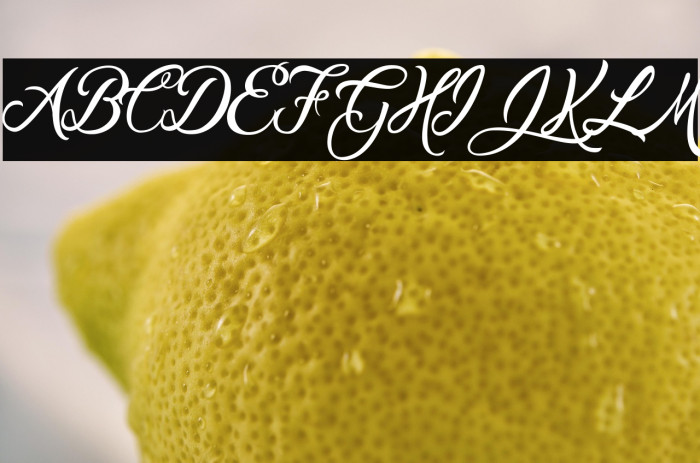 Sea Balance Personal Use Regular Example 1