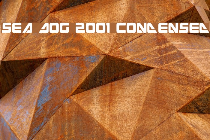 Sea Dog 2001 Condensed Font examples