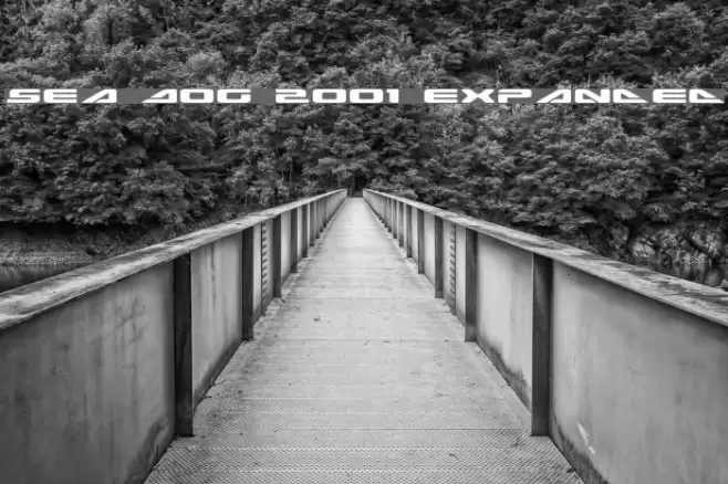 Sea Dog 2001 Expanded Fuentes examples