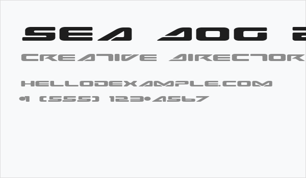 Sea Dog 2001 Expanded Business Card