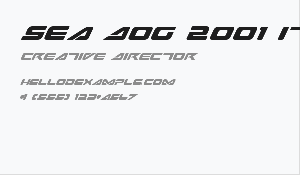 Sea Dog 2001 Italic Business Card