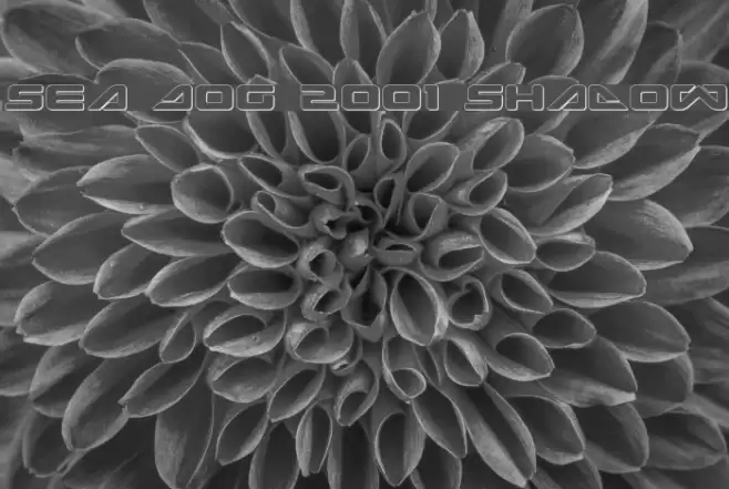 Sea Dog 2001 Shadow Font examples