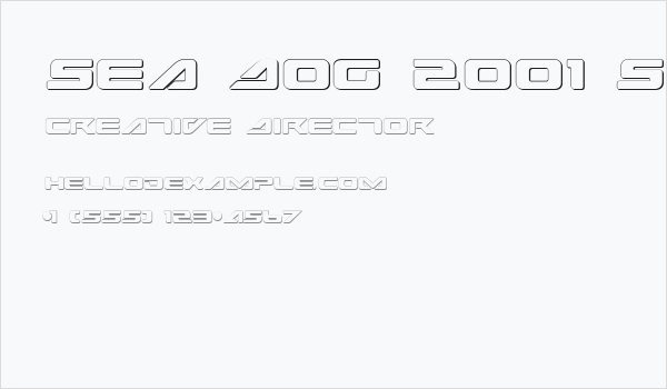 Sea Dog 2001 Shadow Business Card