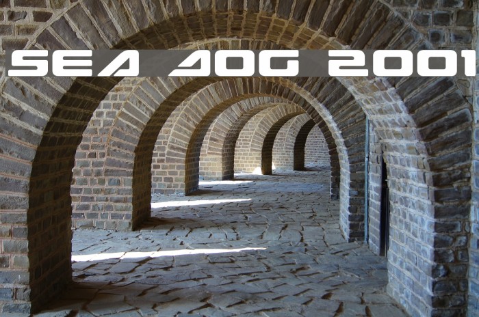 Sea Dog 2001 Font examples