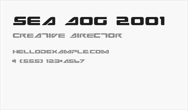 Sea Dog 2001 Business Card