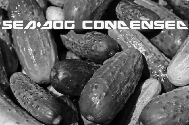 Sea-Dog Condensed フォント examples