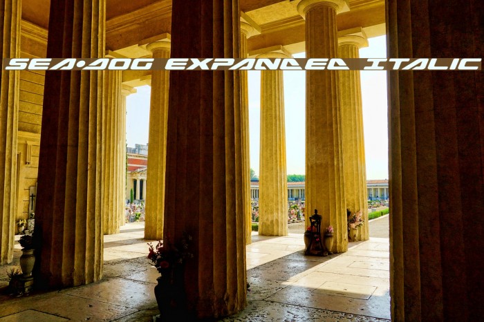 Sea-Dog Expanded Italic Example 1