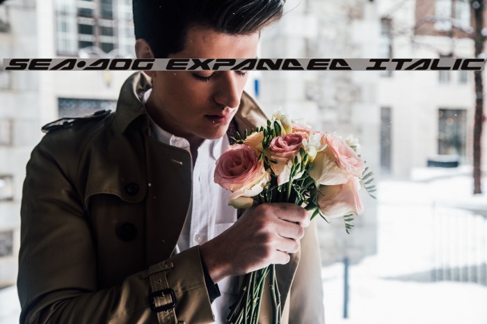 Sea-Dog Expanded Italic Example 2