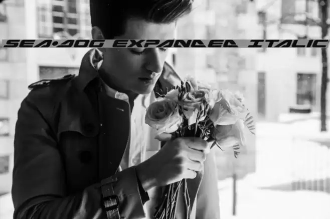 Sea-Dog Expanded Italic Font examples