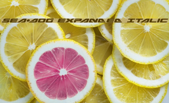 Sea-Dog Expanded Italic Example 3