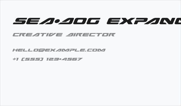 Sea-Dog Expanded Italic Business Card