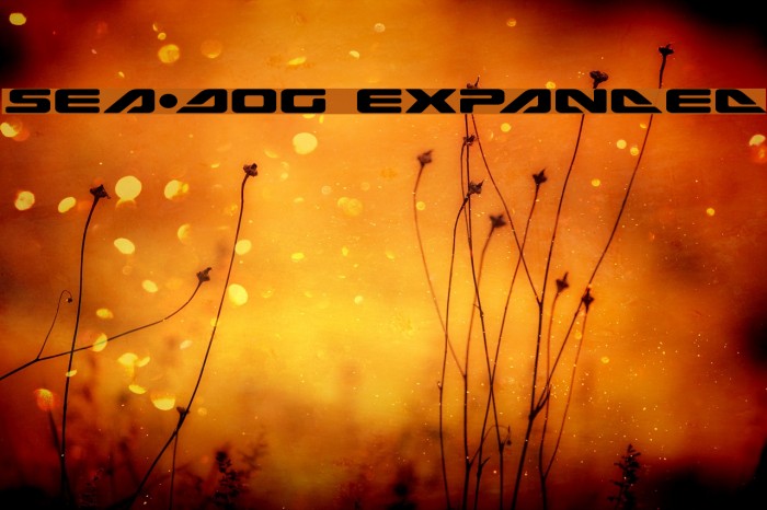 Sea-Dog Expanded Schriftart examples