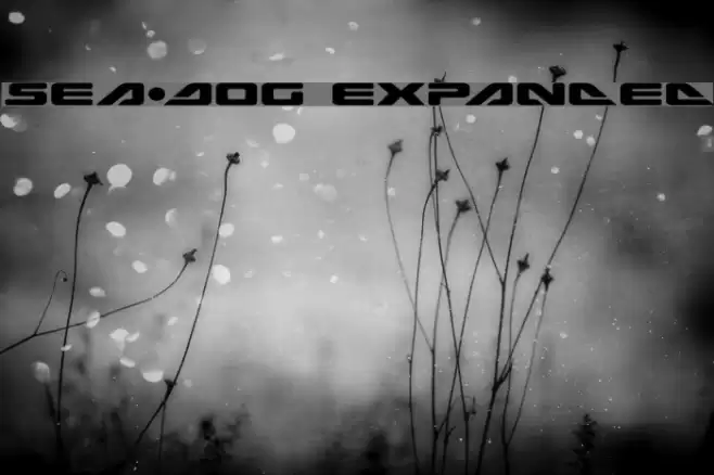 Sea-Dog Expanded Font examples
