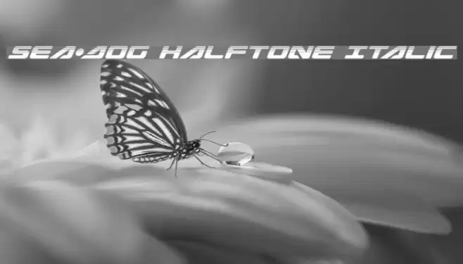 Sea-Dog Halftone Italic Font examples