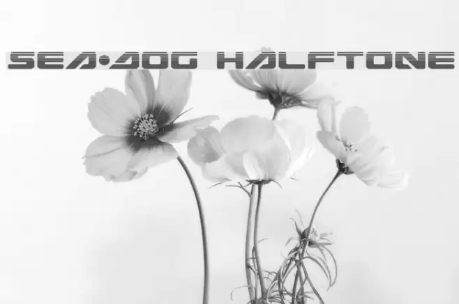 Sea-Dog Halftone Font examples