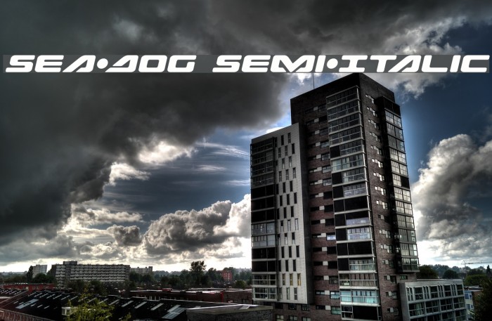 Sea-Dog Semi-Italic Example 1