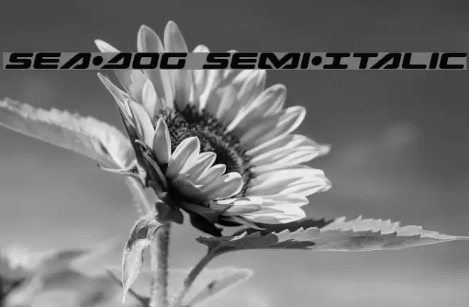 Sea-Dog Semi-Italic Font examples