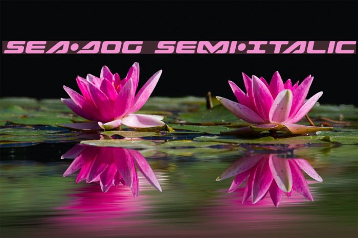 Sea-Dog Semi-Italic Example 3