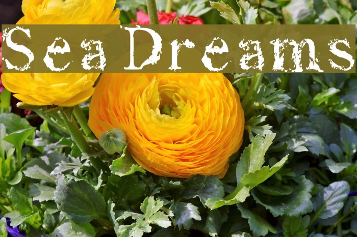 Sea Dreams Шрифта examples