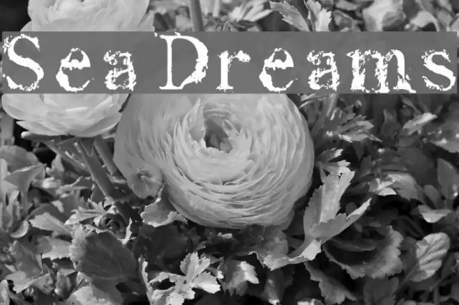 Sea Dreams Шрифта examples