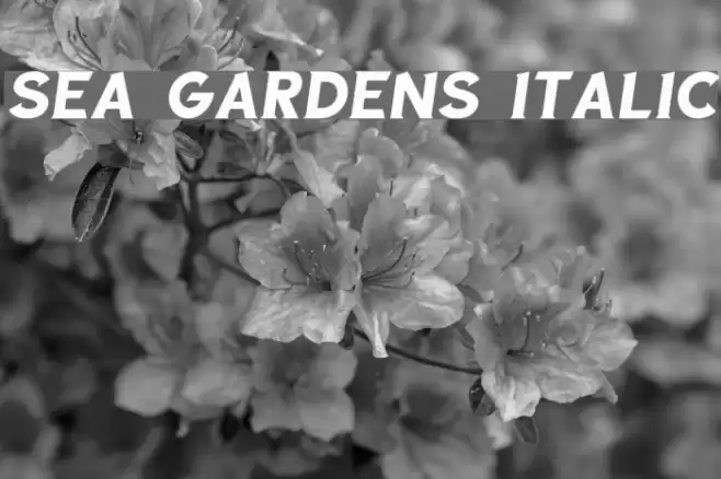 Sea Gardens Italic Font examples