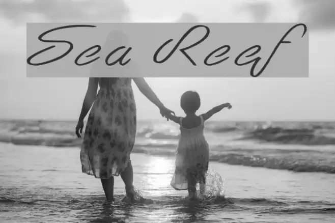 Sea Reef Font examples