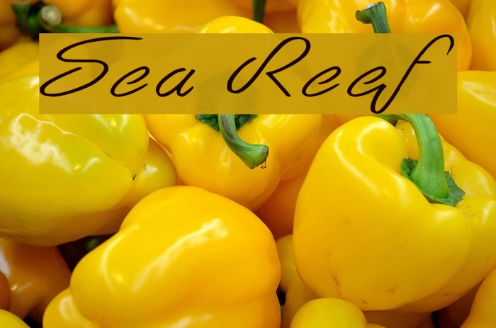 Sea Reef Font examples