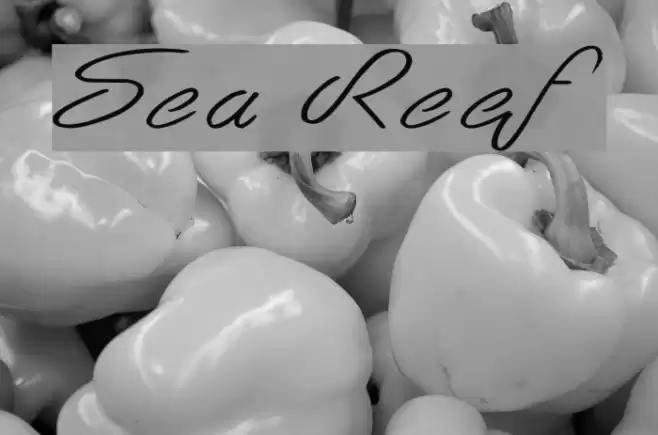 Sea Reef Font examples
