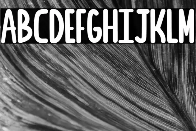 Sea Salt Font examples