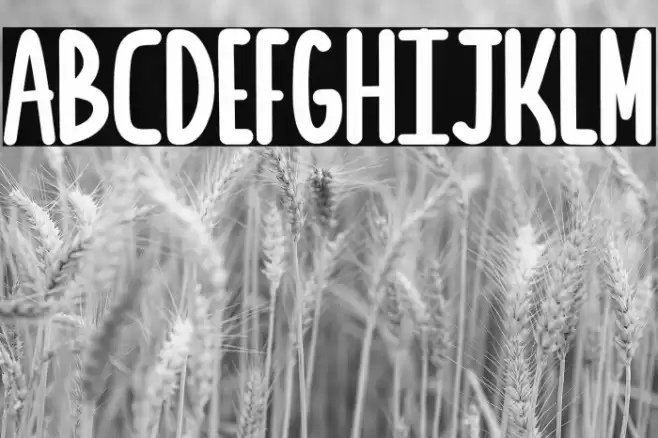 Sea Salt Font examples