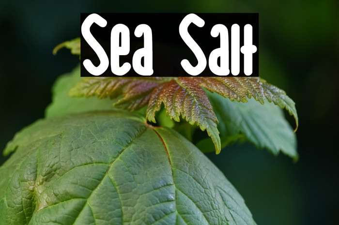 Sea Salt Example 3