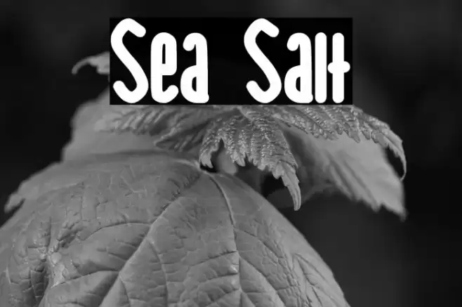 Sea Salt Font examples