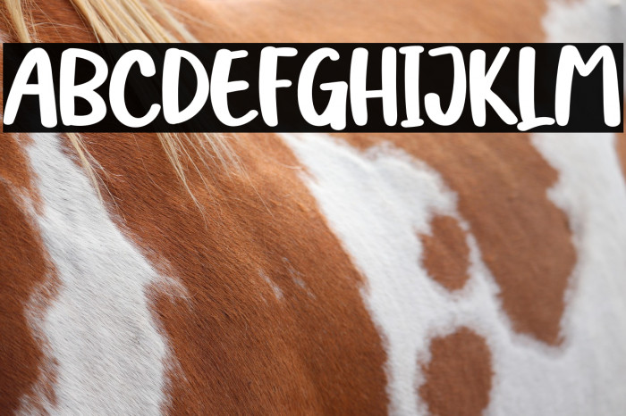 Sea Shells Example 1