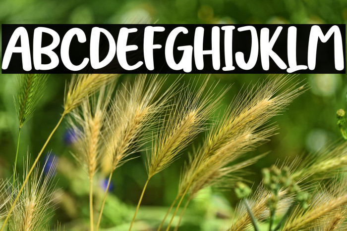 Sea Shells Example 3