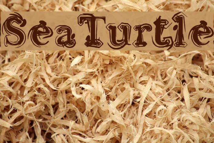 Sea Turtle Font examples