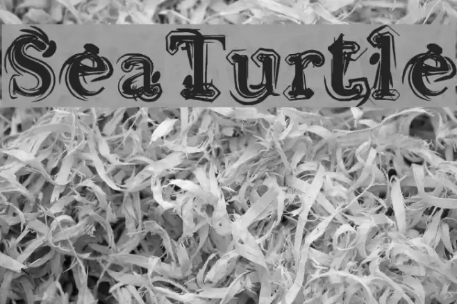 Sea Turtle Font examples