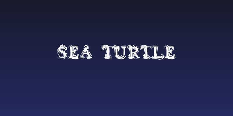 Sea Turtle Social Header