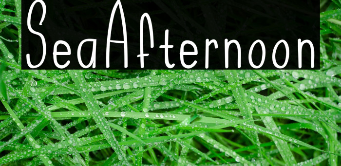 SeaAfternoon Font examples