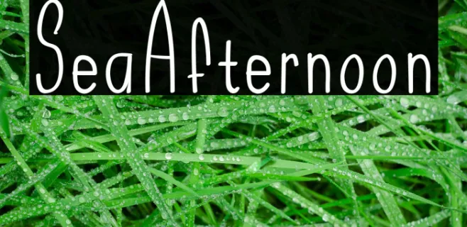 SeaAfternoon Example 1