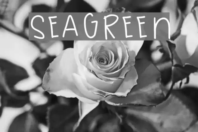 SeaGreen Font examples