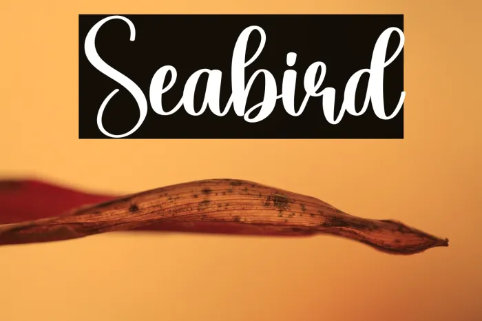 Seabird Example 1