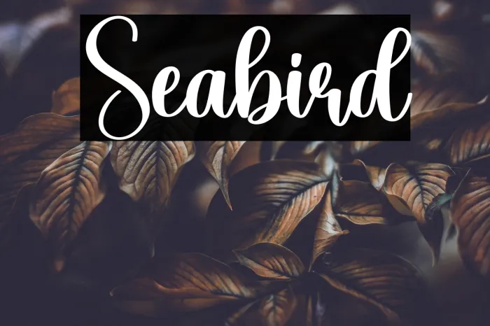 Seabird Example 2
