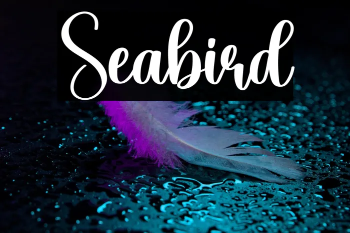 Seabird Example 3